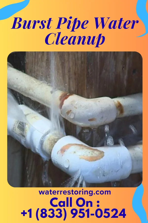 Burst Pipe Water Cleanup in Guyton, GA