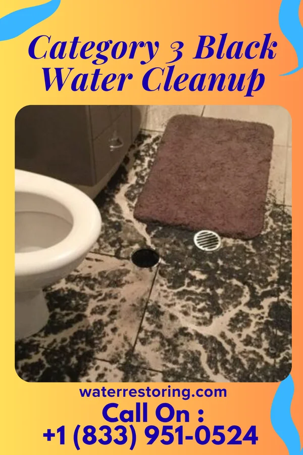 Category 3 Black Water Cleanup in Guyton, GA