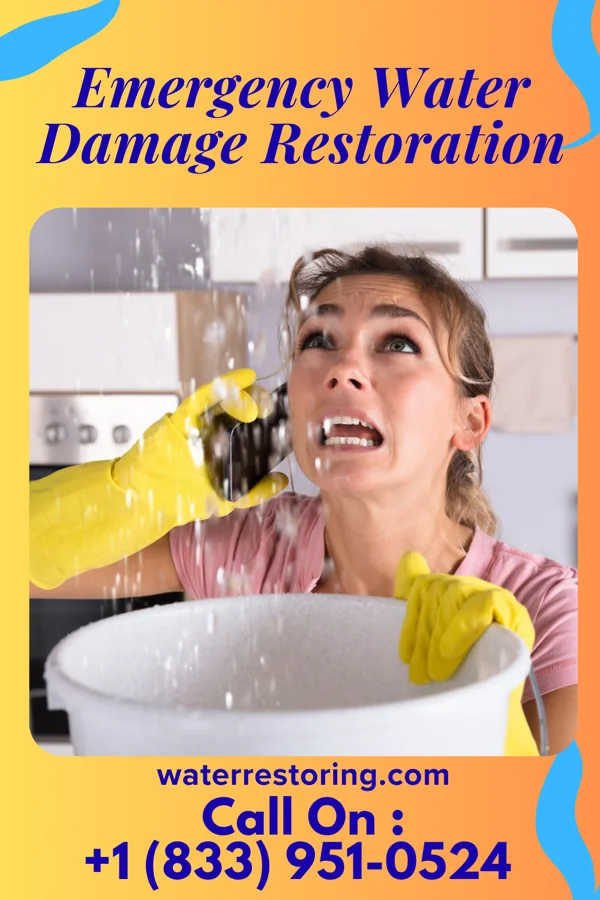 Emergency Water Damage Restoration in Guyton, GA